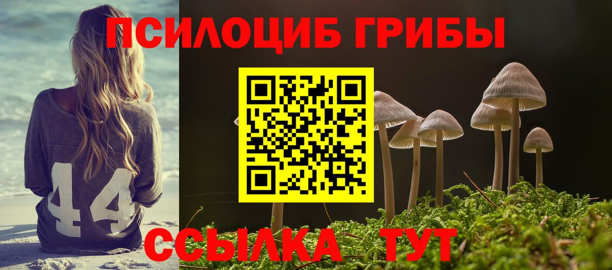 Галлюциногенные грибы мицелий Камышин