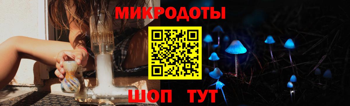 Камышин  Галлюциногенные грибы мицелий  Вход с VPN  закладки  Псилоцибиновые грибы GOLDEN TEACHER 